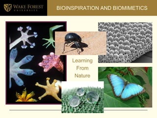 BIOINSPIRATION AND BIOMIMETICS Learning  From Nature 
