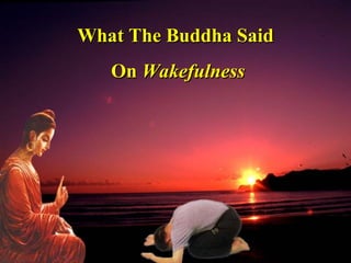 What The Buddha Said On  Wakefulness 