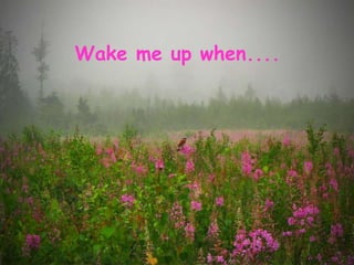 Wake me up when.... 