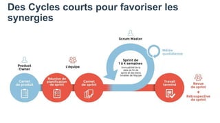 Des Cycles courts pour favoriser les
synergies
 