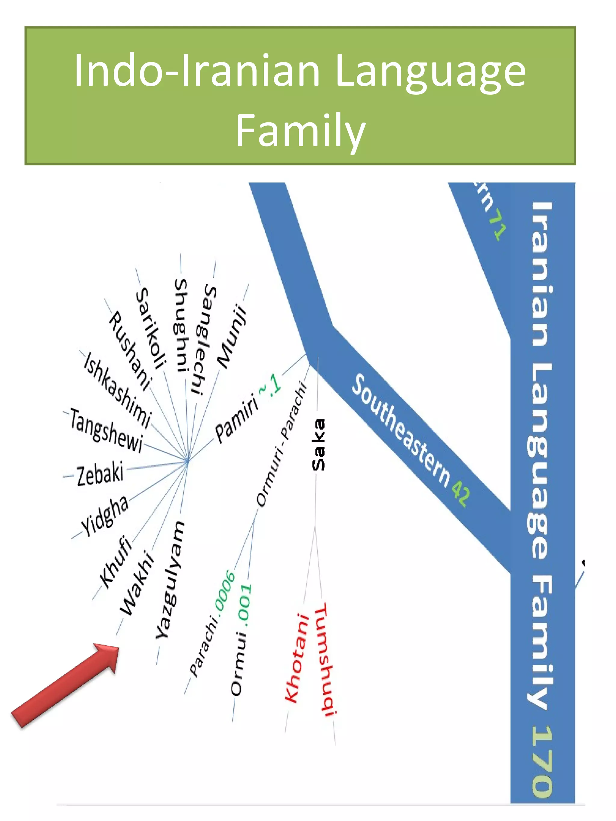 Indo-Iranian Language
Family
 
