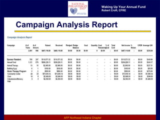 Campaign Analysis Report 