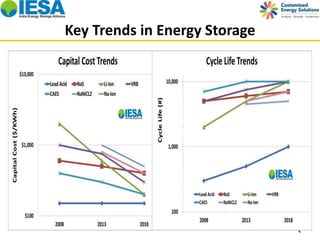 Key Trends in Energy Storage 
4 
 