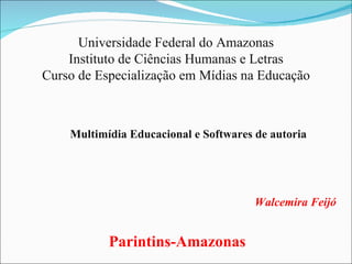 Parintins-Amazonas Multimídia Educacional e Softwares de autoria Walcemira Feijó Universidade Federal do Amazonas Instituto de Ciências Humanas e Letras Curso de Especialização em Mídias na Educação 