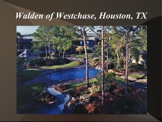 Walden of Westchase, Houston, TX 