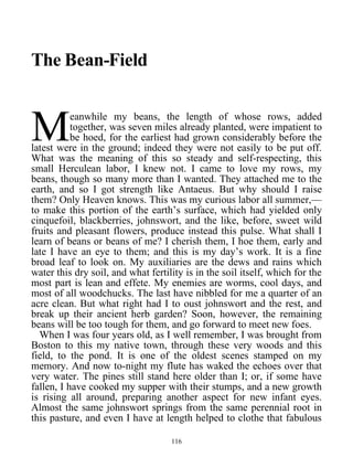 The Bean-Field
eanwhile my beans, the length of whose rows, added
together, was seven miles already planted, were impatient to
be hoed, for the earliest had grown considerably before the
latest were in the ground; indeed they were not easily to be put off.
What was the meaning of this so steady and self-respecting, this
small Herculean labor, I knew not. I came to love my rows, my
beans, though so many more than I wanted. They attached me to the
earth, and so I got strength like Antaeus. But why should I raise
them? Only Heaven knows. This was my curious labor all summer,—
to make this portion of the earth’s surface, which had yielded only
cinquefoil, blackberries, johnswort, and the like, before, sweet wild
fruits and pleasant flowers, produce instead this pulse. What shall I
learn of beans or beans of me? I cherish them, I hoe them, early and
late I have an eye to them; and this is my day’s work. It is a fine
broad leaf to look on. My auxiliaries are the dews and rains which
water this dry soil, and what fertility is in the soil itself, which for the
most part is lean and effete. My enemies are worms, cool days, and
most of all woodchucks. The last have nibbled for me a quarter of an
acre clean. But what right had I to oust johnswort and the rest, and
break up their ancient herb garden? Soon, however, the remaining
beans will be too tough for them, and go forward to meet new foes.
M
When I was four years old, as I well remember, I was brought from
Boston to this my native town, through these very woods and this
field, to the pond. It is one of the oldest scenes stamped on my
memory. And now to-night my flute has waked the echoes over that
very water. The pines still stand here older than I; or, if some have
fallen, I have cooked my supper with their stumps, and a new growth
is rising all around, preparing another aspect for new infant eyes.
Almost the same johnswort springs from the same perennial root in
this pasture, and even I have at length helped to clothe that fabulous
116
 