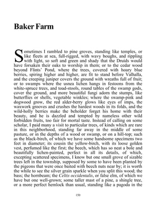 BakerFarm
ometimes I rambled to pine groves, standing like temples, or
like fleets at sea, full-rigged, with wavy boughs, and rippling
with light, so soft and green and shady that the Druids would
have forsaken their oaks to worship in them; or to the cedar wood
beyond Flints’ Pond, where the trees, covered with hoary blue
berries, spiring higher and higher, are fit to stand before Valhalla,
and the creeping juniper covers the ground with wreaths full of fruit;
or to swamps where the usnea lichen hangs in festoons from the
white-spruce trees, and toad-stools, round tables of the swamp gods,
cover the ground, and more beautiful fungi adorn the stumps, like
butterflies or shells, vegetable winkles; where the swamp-pink and
dogwood grow, the red alder-berry glows like eyes of imps, the
waxwork grooves and crushes the hardest woods in its folds, and the
wild-holly berries make the beholder forget his home with their
beauty, and he is dazzled and tempted by nameless other wild
forbidden fruits, too fair for mortal taste. Instead of calling on some
scholar, I paid many a visit to particular trees, of kinds which are rare
in this neighborhood, standing far away in the middle of some
pasture, or in the depths of a wood or swamp, or on a hill-top; such
as the black-birch, of which we have some handsome specimens two
feet in diameter; its cousin the yellow-birch, with its loose golden
vest, perfumed like the first; the beech, which has so neat a bole and
beautifully lichen-painted, perfect in all its details, of which,
excepting scattered specimens, I know but one small grove of sizable
trees left in the township, supposed by some to have been planted by
the pigeons that were once baited with beech nuts near by; it is worth
the while to see the silver grain sparkle when you split this wood; the
bass; the hornbeam; the Celtis occidentalis, or false elm, of which we
have but one well-grown; some taller mast of a pine, a shingle tree,
or a more perfect hemlock than usual, standing like a pagoda in the
S
150
 