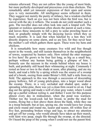 minutes afterward. They are not callow like the young of most birds,
but more perfectly developed and precocious even than chickens. The
remarkably adult yet innocent expression of their open and serene
eyes is very memorable. All intelligence seems reflected in them.
They suggest not merely the purity of infancy, but a wisdom clarified
by experience. Such an eye was not born when the bird was, but is
coeval with the sky it reflects. The woods do not yield another such a
gem. The traveller does not often look into such a limpid well. The
ignorant or reckless sportsman often shoots the parent at such a time,
and leaves these innocents to fall a prey to some prowling beast or
bird, or gradually mingle with the decaying leaves which they so
much resemble. It is said that when hatched by a hen they will
directly disperse on some alarm, and so are lost, for they never hear
the mother’s call which gathers them again. These were my hens and
chickens.
It is remarkable how many creatures live wild and free though
secret in the woods, and still sustain themselves in the neighborhood
of towns, suspected by hunters only. How retired the otter manages
to live here! He grows to be four feet long, as big as a small boy,
perhaps without any human being getting a glimpse of him. I
formerly saw the raccoon in the woods behind where my house is
built, and probably still heard their whinnering at night. Commonly I
rested an hour or two in the shade at noon, after planting, and ate my
lunch, and read a little by a spring which was the source of a swamp
and of a brook, oozing from under Brister’s Hill, half a mile from my
field. The approach to this was through a succession of descending
grassy hollows, full of young pitch-pines, into a larger wood about
the swamp. There, in a very secluded and shaded spot, under a
spreading white-pine, there was yet a clean firm sward to sit on. I had
dug out the spring and made a well of clear gray water, where I could
dip up a pailful without roiling it, and thither I went for this purpose
almost every day in midsummer, when the pond was warmest.
Thither too the wood-cock led her brood, to probe the mud for
worms, flying but a foot above them down the bank, while they ran
in a troop beneath; but at last, spying me, she would leave her young
and circle round and round me, nearer and nearer, till within four or
five feet, pretending broken wings and legs, to attract my attention
and get off her young, who would already have taken up their march,
with faint wiry peep, single file through the swamp, as she directed.
Or I heard the peep of the young when I could not see the parent bird.
170
 