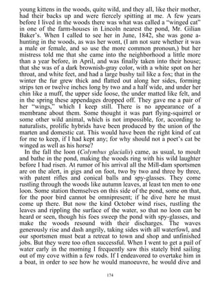 young kittens in the woods, quite wild, and they all, like their mother,
had their backs up and were fiercely spitting at me. A few years
before I lived in the woods there was what was called a “winged cat”
in one of the farm-houses in Lincoln nearest the pond, Mr. Gilian
Baker’s. When I called to see her in June, 1842, she was gone a-
hunting in the woods, as was her wont, (I am not sure whether it was
a male or female, and so use the more common pronoun,) but her
mistress told me that she came into the neighborhood a little more
than a year before, in April, and was finally taken into their house;
that she was of a dark brownish-gray color, with a white spot on her
throat, and white feet, and had a large bushy tail like a fox; that in the
winter the fur grew thick and flatted out along her sides, forming
strips ten or twelve inches long by two and a half wide, and under her
chin like a muff, the upper side loose, the under matted like felt, and
in the spring these appendages dropped off. They gave me a pair of
her “wings,” which I keep still. There is no appearance of a
membrane about them. Some thought it was part flying-squirrel or
some other wild animal, which is not impossible, for, according to
naturalists, prolific hybrids have been produced by the union of the
marten and domestic cat. This would have been the right kind of cat
for me to keep, if I had kept any; for why should not a poet’s cat be
winged as well as his horse?
In the fall the loon (Colymbus glacialis) came, as usual, to moult
and bathe in the pond, making the woods ring with his wild laughter
before I had risen. At rumor of his arrival all the Mill-dam sportsmen
are on the alert, in gigs and on foot, two by two and three by three,
with patent rifles and conical balls and spy-glasses. They come
rustling through the woods like autumn leaves, at least ten men to one
loon. Some station themselves on this side of the pond, some on that,
for the poor bird cannot be omnipresent; if he dive here he must
come up there. But now the kind October wind rises, rustling the
leaves and rippling the surface of the water, so that no loon can be
heard or seen, though his foes sweep the pond with spy-glasses, and
make the woods resound with their discharges. The waves
generously rise and dash angrily, taking sides with all waterfowl, and
our sportsmen must beat a retreat to town and shop and unfinished
jobs. But they were too often successful. When I went to get a pail of
water early in the morning I frequently saw this stately bird sailing
out of my cove within a few rods. If I endeavored to overtake him in
a boat, in order to see how he would manoeuvre, he would dive and
174
 