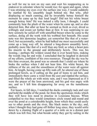 as well for me to rest on my oars and wait his reappearing as to
endeavor to calculate where he would rise; for again and again, when
I was straining my eyes over the surface one way, I would suddenly
be startled by his unearthly laugh behind me. But why, after
displaying so much cunning, did he invariably betray himself the
moment he came up by that loud laugh? Did not his white breast
enough betray him? He was indeed a silly loon, I thought. I could
commonly hear the plash of the water when he came up, and so also
detected him. But after an hour he seemed as fresh as ever, dived as
willingly and swam yet farther than at first. It was surprising to see
how serenely he sailed off with unruffled breast when he came to the
surface, doing all the work with his webbed feet beneath. His usual
note was this demoniac laughter, yet somewhat like that of a water-
fowl; but occasionally, when he had balked me most successfully and
come up a long way off, he uttered a long-drawn unearthly howl,
probably more like that of a wolf than any bird; as when a beast puts
his muzzle to the ground and deliberately howls. This was his
looning,—perhaps the wildest sound that is ever heard here, making
the woods ring far and wide. I concluded that he laughed in derision
of my efforts, confident of his own resources. Though the sky was by
this time overcast, the pond was so smooth that I could see where he
broke the surface when I did not hear him. His white breast, the
stillness of the air, and the smoothness of the water were all against
him. At length, having come up fifty rods off, he uttered one of those
prolonged howls, as if calling on the god of loons to aid him, and
immediately there came a wind from the east and rippled the surface,
and filled the whole air with misty rain, and I was impressed as if it
were the prayer of the loon answered, and his god was angry with
me; and so I left him disappearing far away on the tumultuous
surface.
For hours, in fall days, I watched the ducks cunningly tack and veer
and hold the middle of the pond, far from the sportsman; tricks which
they will have less need to practise in Louisiana bayous. When
compelled to rise they would sometimes circle round and round and
over the pond at a considerable height, from which they could easily
see to other ponds and the river, like black motes in the sky; and,
when I thought they had gone off thither long since, they would settle
down by a slanting flight of a quarter of a mile on to a distant part
which was left free; but what beside safety they got by sailing in the
176
 