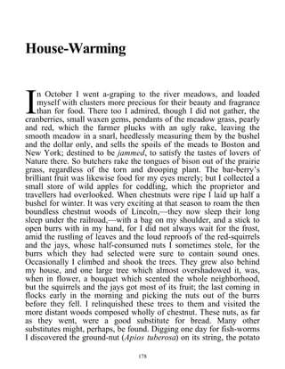 House-Warming
n October I went a-graping to the river meadows, and loaded
myself with clusters more precious for their beauty and fragrance
than for food. There too I admired, though I did not gather, the
cranberries, small waxen gems, pendants of the meadow grass, pearly
and red, which the farmer plucks with an ugly rake, leaving the
smooth meadow in a snarl, heedlessly measuring them by the bushel
and the dollar only, and sells the spoils of the meads to Boston and
New York; destined to be jammed, to satisfy the tastes of lovers of
Nature there. So butchers rake the tongues of bison out of the prairie
grass, regardless of the torn and drooping plant. The bar-berry’s
brilliant fruit was likewise food for my eyes merely; but I collected a
small store of wild apples for coddling, which the proprietor and
travellers had overlooked. When chestnuts were ripe I laid up half a
bushel for winter. It was very exciting at that season to roam the then
boundless chestnut woods of Lincoln,—they now sleep their long
sleep under the railroad,—with a bag on my shoulder, and a stick to
open burrs with in my hand, for I did not always wait for the frost,
amid the rustling of leaves and the loud reproofs of the red-squirrels
and the jays, whose half-consumed nuts I sometimes stole, for the
burrs which they had selected were sure to contain sound ones.
Occasionally I climbed and shook the trees. They grew also behind
my house, and one large tree which almost overshadowed it, was,
when in flower, a bouquet which scented the whole neighborhood,
but the squirrels and the jays got most of its fruit; the last coming in
flocks early in the morning and picking the nuts out of the burrs
before they fell. I relinquished these trees to them and visited the
more distant woods composed wholly of chestnut. These nuts, as far
as they went, were a good substitute for bread. Many other
substitutes might, perhaps, be found. Digging one day for fish-worms
I discovered the ground-nut (Apios tuberosa) on its string, the potato
I
178
 