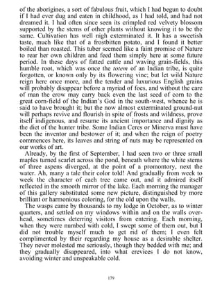 of the aborigines, a sort of fabulous fruit, which I had begun to doubt
if I had ever dug and eaten in childhood, as I had told, and had not
dreamed it. I had often since seen its crimpled red velvety blossom
supported by the stems of other plants without knowing it to be the
same. Cultivation has well nigh exterminated it. It has a sweetish
taste, much like that of a frostbitten potato, and I found it better
boiled than roasted. This tuber seemed like a faint promise of Nature
to rear her own children and feed them simply here at some future
period. In these days of fatted cattle and waving grain-fields, this
humble root, which was once the totem of an Indian tribe, is quite
forgotten, or known only by its flowering vine; but let wild Nature
reign here once more, and the tender and luxurious English grains
will probably disappear before a myriad of foes, and without the care
of man the crow may carry back even the last seed of corn to the
great corn-field of the Indian’s God in the south-west, whence he is
said to have brought it; but the now almost exterminated ground-nut
will perhaps revive and flourish in spite of frosts and wildness, prove
itself indigenous, and resume its ancient importance and dignity as
the diet of the hunter tribe. Some Indian Ceres or Minerva must have
been the inventor and bestower of it; and when the reign of poetry
commences here, its leaves and string of nuts may be represented on
our works of art.
Already, by the first of September, I had seen two or three small
maples turned scarlet across the pond, beneath where the white stems
of three aspens diverged, at the point of a promontory, next the
water. Ah, many a tale their color told! And gradually from week to
week the character of each tree came out, and it admired itself
reflected in the smooth mirror of the lake. Each morning the manager
of this gallery substituted some new picture, distinguished by more
brilliant or harmonious coloring, for the old upon the walls.
The wasps came by thousands to my lodge in October, as to winter
quarters, and settled on my windows within and on the walls over-
head, sometimes deterring visitors from entering. Each morning,
when they were numbed with cold, I swept some of them out, but I
did not trouble myself much to get rid of them; I even felt
complimented by their regarding my house as a desirable shelter.
They never molested me seriously, though they bedded with me; and
they gradually disappeared, into what crevices I do not know,
avoiding winter and unspeakable cold.
179
 