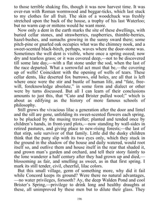 to those terrible shaking fits, though it was now harvest time. It was
over-run with Roman wormwood and beggar-ticks, which last stuck
to my clothes for all fruit. The skin of a woodchuck was freshly
stretched upon the back of the house, a trophy of his last Waterloo;
but no warm cap or mittens would he want more.
Now only a dent in the earth marks the site of these dwellings, with
buried cellar stones, and strawberries, raspberries, thimble-berries,
hazel-bushes, and sumachs growing in the sunny sward there; some
pitch-pine or gnarled oak occupies what was the chimney nook, and a
sweet-scented black-birch, perhaps, waves where the door-stone was.
Sometimes the well dent is visible, where once a spring oozed; now
dry and tearless grass; or it was covered deep,—not to be discovered
till some late day,—with a flat stone under the sod, when the last of
the race departed. What a sorrowful act must that be,—the covering
up of wells! Coincident with the opening of wells of tears. These
cellar dents, like deserted fox burrows, old holes, are all that is left
where once were the stir and bustle of human life, and “fate, free-
will, foreknowledge absolute,” in some form and dialect or other
were by turns discussed. But all I can learn of their conclusions
amounts to just this, that “Cato and Brister pulled wool;” which is
about as edifying as the history of more famous schools of
philosophy.
Still grows the vivacious lilac a generation after the door and lintel
and the sill are gone, unfolding its sweet-scented flowers each spring,
to be plucked by the musing traveller; planted and tended once by
children’s hands, in front-yard plots,—now standing by wall-sides in
retired pastures, and giving place to new-rising forests;—the last of
that stirp, sole survivor of that family. Little did the dusky children
think that the puny slip with its two eyes only, which they stuck in
the ground in the shadow of the house and daily watered, would root
itself so, and outlive them and house itself in the rear that shaded it,
and grown man’s garden and orchard, and tell their story faintly to
the lone wanderer a half century after they had grown up and died,—
blossoming as fair, and smelling as sweet, as in that first spring. I
mark its still tender, civil, cheerful, lilac colors.
But this small village, germ of something more, why did it fail
while Concord keeps its ground? Were there no natural advantages,
—no water privileges, forsooth? Ay, the deep Walden Pond and cool
Brister’s Spring,—privilege to drink long and healthy draughts at
these, all unimproved by these men but to dilute their glass. They
196
 