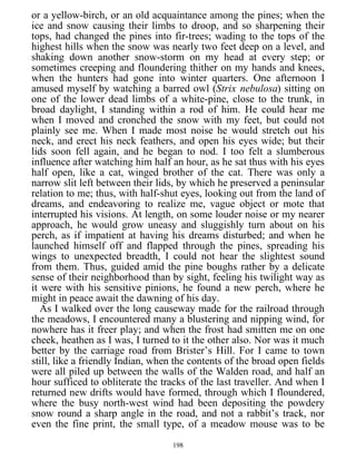 or a yellow-birch, or an old acquaintance among the pines; when the
ice and snow causing their limbs to droop, and so sharpening their
tops, had changed the pines into fir-trees; wading to the tops of the
highest hills when the snow was nearly two feet deep on a level, and
shaking down another snow-storm on my head at every step; or
sometimes creeping and floundering thither on my hands and knees,
when the hunters had gone into winter quarters. One afternoon I
amused myself by watching a barred owl (Strix nebulosa) sitting on
one of the lower dead limbs of a white-pine, close to the trunk, in
broad daylight, I standing within a rod of him. He could hear me
when I moved and cronched the snow with my feet, but could not
plainly see me. When I made most noise he would stretch out his
neck, and erect his neck feathers, and open his eyes wide; but their
lids soon fell again, and he began to nod. I too felt a slumberous
influence after watching him half an hour, as he sat thus with his eyes
half open, like a cat, winged brother of the cat. There was only a
narrow slit left between their lids, by which he preserved a peninsular
relation to me; thus, with half-shut eyes, looking out from the land of
dreams, and endeavoring to realize me, vague object or mote that
interrupted his visions. At length, on some louder noise or my nearer
approach, he would grow uneasy and sluggishly turn about on his
perch, as if impatient at having his dreams disturbed; and when he
launched himself off and flapped through the pines, spreading his
wings to unexpected breadth, I could not hear the slightest sound
from them. Thus, guided amid the pine boughs rather by a delicate
sense of their neighborhood than by sight, feeling his twilight way as
it were with his sensitive pinions, he found a new perch, where he
might in peace await the dawning of his day.
As I walked over the long causeway made for the railroad through
the meadows, I encountered many a blustering and nipping wind, for
nowhere has it freer play; and when the frost had smitten me on one
cheek, heathen as I was, I turned to it the other also. Nor was it much
better by the carriage road from Brister’s Hill. For I came to town
still, like a friendly Indian, when the contents of the broad open fields
were all piled up between the walls of the Walden road, and half an
hour sufficed to obliterate the tracks of the last traveller. And when I
returned new drifts would have formed, through which I floundered,
where the busy north-west wind had been depositing the powdery
snow round a sharp angle in the road, and not a rabbit’s track, nor
even the fine print, the small type, of a meadow mouse was to be
198
 