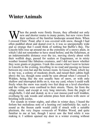 WinterAnimals
hen the ponds were firmly frozen, they afforded not only
new and shorter routes to many points, but new views from
their surfaces of the familiar landscape around them. When
I crossed Flints’ Pond, after it was covered with snow, though I had
often paddled about and skated over it, it was so unexpectedly wide
and so strange that I could think of nothing but Baffin’s Bay. The
Lincoln hills rose up around me at the extremity of a snowy plain, in
which I did not remember to have stood before; and the fishermen, at
an indeterminable distance over the ice, moving slowly about with
their wolfish dogs, passed for sealers or Esquimaux, or in misty
weather loomed like fabulous creatures, and I did not know whether
they were giants or pygmies. I took this course when I went to lecture
in Lincoln in the evening, travelling in no road and passing no house
between my own hut and the lecture room. In Goose Pond, which lay
in my way, a colony of muskrats dwelt, and raised their cabins high
above the ice, though none could be seen abroad when I crossed it.
Walden, being like the rest usually bare of snow, or with only
shallow and interrupted drifts on it, was my yard, where I could walk
freely when the snow was nearly two feet deep on a level elsewhere
and the villagers were confined to their streets. There, far from the
village street, and except at very long intervals, from the jingle of
sleigh-bells, I slid and skated, as in a vast moose-yard well trodden,
overhung by oak woods and solemn pines bent down with snow or
bristling with icicles.
W
For sounds in winter nights, and often in winter days, I heard the
forlorn but melodious note of a hooting owl indefinitely far; such a
sound as the frozen earth would yield if struck with a suitable
plectrum, the very lingua vernacula of Walden Wood, and quite
familiar to me at last, though I never saw the bird while it was
making it. I seldom opened my door in a winter evening without
202
 
