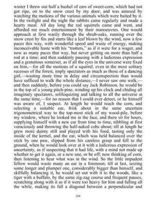 winter I threw out half a bushel of ears of sweet-corn, which had not
got ripe, on to the snow crust by my door, and was amused by
watching the motions of the various animals which were baited by it.
In the twilight and the night the rabbits came regularly and made a
hearty meal. All day long the red squirrels came and went, and
afforded me much entertainment by their manoeuvres. One would
approach at first warily through the shrub-oaks, running over the
snow crust by fits and starts like a leaf blown by the wind, now a few
paces this way, with wonderful speed and waste of energy, making
inconceivable haste with his “trotters,” as if it were for a wager, and
now as many paces that way, but never getting on more than half a
rod at a time; and then suddenly pausing with a ludicrous expression
and a gratuitous somerset, as if all the eyes in the universe were fixed
on him,—for all the motions of a squirrel, even in the most solitary
recesses of the forest, imply spectators as much as those of a dancing
girl,—wasting more time in delay and circumspection than would
have sufficed to walk the whole distance,—I never saw one walk,—
and then suddenly, before you could say Jack Robinson, he would be
in the top of a young pitch-pine, winding up his clock and chiding all
imaginary spectators, soliloquizing and talking to all the universe at
the same time,—for no reason that I could ever detect, or he himself
was aware of, I suspect. At length he would reach the corn, and
selecting a suitable ear, frisk about in the same uncertain
trigonometrical way to the top-most stick of my wood-pile, before
my window, where he looked me in the face, and there sit for hours,
supplying himself with a new ear from time to time, nibbling at first
voraciously and throwing the half-naked cobs about; till at length he
grew more dainty still and played with his food, tasting only the
inside of the kernel, and the ear, which was held balanced over the
stick by one paw, slipped from his careless grasp and fell to the
ground, when he would look over at it with a ludicrous expression of
uncertainty, as if suspecting that it had life, with a mind not made up
whether to get it again, or a new one, or be off; now thinking of corn,
then listening to hear what was in the wind. So the little impudent
fellow would waste many an ear in a forenoon; till at last, seizing
some longer and plumper one, considerably bigger than himself, and
skilfully balancing it, he would set out with it to the woods, like a
tiger with a buffalo, by the same zig-zag course and frequent pauses,
scratching along with it as if it were too heavy for him and falling all
the while, making its fall a diagonal between a perpendicular and
204
 