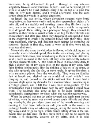 horizontal, being determined to put it through at any rate;—a
singularly frivolous and whimsical fellow;—and so he would get off
with it to where he lived, perhaps carry it to the top of a pine tree
forty or fifty rods distant, and I would afterwards find the cobs
strewn about the woods in various directions.
At length the jays arrive, whose discordant screams were heard
long before, as they were warily making their approach an eighth of a
mile off, and in a stealthy and sneaking manner they flit from tree to
tree, nearer and nearer, and pick up the kernels which the squirrels
have dropped. Then, sitting on a pitch-pine bough, they attempt to
swallow in their haste a kernel which is too big for their throats and
chokes them; and after great labor they disgorge it, and spend an hour
in the endeavor to crack it by repeated blows with their bills. They
were manifestly thieves, and I had not much respect for them; but the
squirrels, though at first shy, went to work as if they were taking
what was their own.
Meanwhile also came the chicadees in flocks, which picking up the
crums the squirrels had dropped, flew to the nearest twig, and placing
them under their claws, hammered away at them with their little bills,
as if it were an insect in the bark, till they were sufficiently reduced
for their slender throats. A little flock of these tit-mice came daily to
pick a dinner out of my wood-pile, or the crums at my door, with
faint flitting lisping notes, like the tinkling of icicles in the grass, or
else with sprightly day day day, or more rarely, in spring-like days, a
wiry summery phe-be from the wood-side. They were so familiar
that at length one alighted on an armful of wood which I was
carrying in, and pecked at the sticks without fear. I once had a
sparrow alight upon my shoulder for a moment while I was hoeing in
a village garden, and I felt that I was more distinguished by that
circumstance than I should have been by any epaulet I could have
worn. The squirrels also grew at last to be quite familiar, and
occasionally stepped upon my shoe, when that was the nearest way.
When the ground was not yet quite covered, and again near the end
of winter, when the snow was melted on my south hill-side and about
my wood-pile, the partridges came out of the woods morning and
evening to feed there. Whichever side you walk in the woods the
partridge bursts away on whirring wings, jarring the snow from the
dry leaves and twigs on high, which comes sifting down in the sun-
beams like golden dust; for this brave bird is not to be scared by
winter. It is frequently covered up by drifts, and, it is said,
205
 