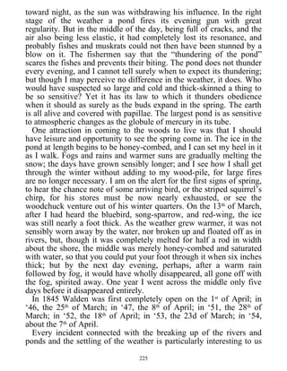 toward night, as the sun was withdrawing his influence. In the right
stage of the weather a pond fires its evening gun with great
regularity. But in the middle of the day, being full of cracks, and the
air also being less elastic, it had completely lost its resonance, and
probably fishes and muskrats could not then have been stunned by a
blow on it. The fishermen say that the “thundering of the pond”
scares the fishes and prevents their biting. The pond does not thunder
every evening, and I cannot tell surely when to expect its thundering;
but though I may perceive no difference in the weather, it does. Who
would have suspected so large and cold and thick-skinned a thing to
be so sensitive? Yet it has its law to which it thunders obedience
when it should as surely as the buds expand in the spring. The earth
is all alive and covered with papillae. The largest pond is as sensitive
to atmospheric changes as the globule of mercury in its tube.
One attraction in coming to the woods to live was that I should
have leisure and opportunity to see the spring come in. The ice in the
pond at length begins to be honey-combed, and I can set my heel in it
as I walk. Fogs and rains and warmer suns are gradually melting the
snow; the days have grown sensibly longer; and I see how I shall get
through the winter without adding to my wood-pile, for large fires
are no longer necessary. I am on the alert for the first signs of spring,
to hear the chance note of some arriving bird, or the striped squirrel’s
chirp, for his stores must be now nearly exhausted, or see the
woodchuck venture out of his winter quarters. On the 13th
of March,
after I had heard the bluebird, song-sparrow, and red-wing, the ice
was still nearly a foot thick. As the weather grew warmer, it was not
sensibly worn away by the water, nor broken up and floated off as in
rivers, but, though it was completely melted for half a rod in width
about the shore, the middle was merely honey-combed and saturated
with water, so that you could put your foot through it when six inches
thick; but by the next day evening, perhaps, after a warm rain
followed by fog, it would have wholly disappeared, all gone off with
the fog, spirited away. One year I went across the middle only five
days before it disappeared entirely.
In 1845 Walden was first completely open on the 1st
of April; in
‘46, the 25th
of March; in ‘47, the 8th
of April; in ‘51, the 28th
of
March; in ‘52, the 18th
of April; in ‘53, the 23d of March; in ‘54,
about the 7th
of April.
Every incident connected with the breaking up of the rivers and
ponds and the settling of the weather is particularly interesting to us
225
 