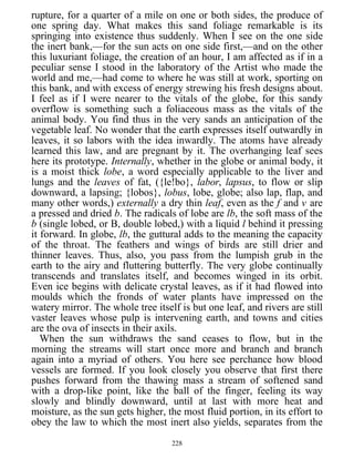 rupture, for a quarter of a mile on one or both sides, the produce of
one spring day. What makes this sand foliage remarkable is its
springing into existence thus suddenly. When I see on the one side
the inert bank,—for the sun acts on one side first,—and on the other
this luxuriant foliage, the creation of an hour, I am affected as if in a
peculiar sense I stood in the laboratory of the Artist who made the
world and me,—had come to where he was still at work, sporting on
this bank, and with excess of energy strewing his fresh designs about.
I feel as if I were nearer to the vitals of the globe, for this sandy
overflow is something such a foliaceous mass as the vitals of the
animal body. You find thus in the very sands an anticipation of the
vegetable leaf. No wonder that the earth expresses itself outwardly in
leaves, it so labors with the idea inwardly. The atoms have already
learned this law, and are pregnant by it. The overhanging leaf sees
here its prototype. Internally, whether in the globe or animal body, it
is a moist thick lobe, a word especially applicable to the liver and
lungs and the leaves of fat, ({le!bo}, labor, lapsus, to flow or slip
downward, a lapsing; {lobos}, lobus, lobe, globe; also lap, flap, and
many other words,) externally a dry thin leaf, even as the f and v are
a pressed and dried b. The radicals of lobe are lb, the soft mass of the
b (single lobed, or B, double lobed,) with a liquid l behind it pressing
it forward. In globe, lb, the guttural adds to the meaning the capacity
of the throat. The feathers and wings of birds are still drier and
thinner leaves. Thus, also, you pass from the lumpish grub in the
earth to the airy and fluttering butterfly. The very globe continually
transcends and translates itself, and becomes winged in its orbit.
Even ice begins with delicate crystal leaves, as if it had flowed into
moulds which the fronds of water plants have impressed on the
watery mirror. The whole tree itself is but one leaf, and rivers are still
vaster leaves whose pulp is intervening earth, and towns and cities
are the ova of insects in their axils.
When the sun withdraws the sand ceases to flow, but in the
morning the streams will start once more and branch and branch
again into a myriad of others. You here see perchance how blood
vessels are formed. If you look closely you observe that first there
pushes forward from the thawing mass a stream of softened sand
with a drop-like point, like the ball of the finger, feeling its way
slowly and blindly downward, until at last with more heat and
moisture, as the sun gets higher, the most fluid portion, in its effort to
obey the law to which the most inert also yields, separates from the
228
 