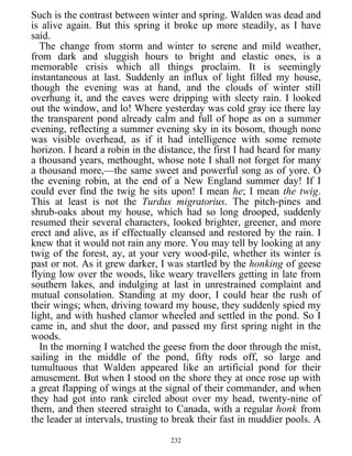 Such is the contrast between winter and spring. Walden was dead and
is alive again. But this spring it broke up more steadily, as I have
said.
The change from storm and winter to serene and mild weather,
from dark and sluggish hours to bright and elastic ones, is a
memorable crisis which all things proclaim. It is seemingly
instantaneous at last. Suddenly an influx of light filled my house,
though the evening was at hand, and the clouds of winter still
overhung it, and the eaves were dripping with sleety rain. I looked
out the window, and lo! Where yesterday was cold gray ice there lay
the transparent pond already calm and full of hope as on a summer
evening, reflecting a summer evening sky in its bosom, though none
was visible overhead, as if it had intelligence with some remote
horizon. I heard a robin in the distance, the first I had heard for many
a thousand years, methought, whose note I shall not forget for many
a thousand more,—the same sweet and powerful song as of yore. O
the evening robin, at the end of a New England summer day! If I
could ever find the twig he sits upon! I mean he; I mean the twig.
This at least is not the Turdus migratorius. The pitch-pines and
shrub-oaks about my house, which had so long drooped, suddenly
resumed their several characters, looked brighter, greener, and more
erect and alive, as if effectually cleansed and restored by the rain. I
knew that it would not rain any more. You may tell by looking at any
twig of the forest, ay, at your very wood-pile, whether its winter is
past or not. As it grew darker, I was startled by the honking of geese
flying low over the woods, like weary travellers getting in late from
southern lakes, and indulging at last in unrestrained complaint and
mutual consolation. Standing at my door, I could hear the rush of
their wings; when, driving toward my house, they suddenly spied my
light, and with hushed clamor wheeled and settled in the pond. So I
came in, and shut the door, and passed my first spring night in the
woods.
In the morning I watched the geese from the door through the mist,
sailing in the middle of the pond, fifty rods off, so large and
tumultuous that Walden appeared like an artificial pond for their
amusement. But when I stood on the shore they at once rose up with
a great flapping of wings at the signal of their commander, and when
they had got into rank circled about over my head, twenty-nine of
them, and then steered straight to Canada, with a regular honk from
the leader at intervals, trusting to break their fast in muddier pools. A
232
 