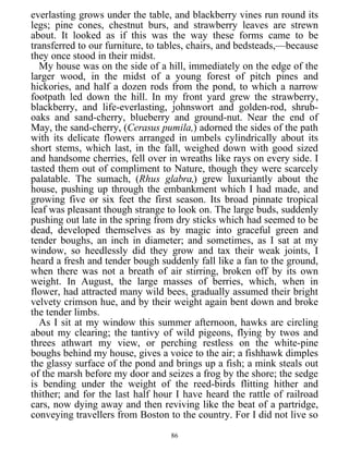 everlasting grows under the table, and blackberry vines run round its
legs; pine cones, chestnut burs, and strawberry leaves are strewn
about. It looked as if this was the way these forms came to be
transferred to our furniture, to tables, chairs, and bedsteads,—because
they once stood in their midst.
My house was on the side of a hill, immediately on the edge of the
larger wood, in the midst of a young forest of pitch pines and
hickories, and half a dozen rods from the pond, to which a narrow
footpath led down the hill. In my front yard grew the strawberry,
blackberry, and life-everlasting, johnswort and golden-rod, shrub-
oaks and sand-cherry, blueberry and ground-nut. Near the end of
May, the sand-cherry, (Cerasus pumila,) adorned the sides of the path
with its delicate flowers arranged in umbels cylindrically about its
short stems, which last, in the fall, weighed down with good sized
and handsome cherries, fell over in wreaths like rays on every side. I
tasted them out of compliment to Nature, though they were scarcely
palatable. The sumach, (Rhus glabra,) grew luxuriantly about the
house, pushing up through the embankment which I had made, and
growing five or six feet the first season. Its broad pinnate tropical
leaf was pleasant though strange to look on. The large buds, suddenly
pushing out late in the spring from dry sticks which had seemed to be
dead, developed themselves as by magic into graceful green and
tender boughs, an inch in diameter; and sometimes, as I sat at my
window, so heedlessly did they grow and tax their weak joints, I
heard a fresh and tender bough suddenly fall like a fan to the ground,
when there was not a breath of air stirring, broken off by its own
weight. In August, the large masses of berries, which, when in
flower, had attracted many wild bees, gradually assumed their bright
velvety crimson hue, and by their weight again bent down and broke
the tender limbs.
As I sit at my window this summer afternoon, hawks are circling
about my clearing; the tantivy of wild pigeons, flying by twos and
threes athwart my view, or perching restless on the white-pine
boughs behind my house, gives a voice to the air; a fishhawk dimples
the glassy surface of the pond and brings up a fish; a mink steals out
of the marsh before my door and seizes a frog by the shore; the sedge
is bending under the weight of the reed-birds flitting hither and
thither; and for the last half hour I have heard the rattle of railroad
cars, now dying away and then reviving like the beat of a partridge,
conveying travellers from Boston to the country. For I did not live so
86
 