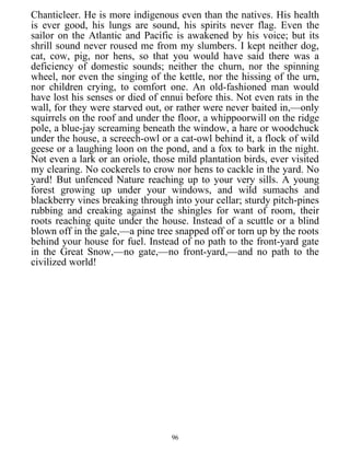 Chanticleer. He is more indigenous even than the natives. His health
is ever good, his lungs are sound, his spirits never flag. Even the
sailor on the Atlantic and Pacific is awakened by his voice; but its
shrill sound never roused me from my slumbers. I kept neither dog,
cat, cow, pig, nor hens, so that you would have said there was a
deficiency of domestic sounds; neither the churn, nor the spinning
wheel, nor even the singing of the kettle, nor the hissing of the urn,
nor children crying, to comfort one. An old-fashioned man would
have lost his senses or died of ennui before this. Not even rats in the
wall, for they were starved out, or rather were never baited in,—only
squirrels on the roof and under the floor, a whippoorwill on the ridge
pole, a blue-jay screaming beneath the window, a hare or woodchuck
under the house, a screech-owl or a cat-owl behind it, a flock of wild
geese or a laughing loon on the pond, and a fox to bark in the night.
Not even a lark or an oriole, those mild plantation birds, ever visited
my clearing. No cockerels to crow nor hens to cackle in the yard. No
yard! But unfenced Nature reaching up to your very sills. A young
forest growing up under your windows, and wild sumachs and
blackberry vines breaking through into your cellar; sturdy pitch-pines
rubbing and creaking against the shingles for want of room, their
roots reaching quite under the house. Instead of a scuttle or a blind
blown off in the gale,—a pine tree snapped off or torn up by the roots
behind your house for fuel. Instead of no path to the front-yard gate
in the Great Snow,—no gate,—no front-yard,—and no path to the
civilized world!
96
 