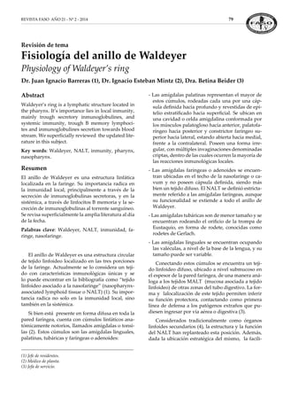 REVISTA FASO AÑO 21 - Nº 2 - 2014	 79
Abstract
Waldeyer’s ring is a lymphatic structure located in
the pharynx. It’s importance lies in local inmunity,
mainly trough secretory inmunoglobulines, and
systemic immunity, trough B memory lymphoci-
tes and inmunoglobulines secretion towards blood
stream. We superficially reviewed the updated lite-
rature in this subject.
Key words: Waldeyer, NALT, inmunity, pharynx,
nasopharynx.
Resumen
El anillo de Waldeyer es una estructura linfática
localizada en la faringe. Su importancia radica en
la inmunidad local, principalmente a través de la
secreción de inmunoglobulinas secretoras, y en la
sistémica, a través de linfocitos B memoria y la se-
creción de inmunoglobulinas al torrente sanguíneo.
Se revisa superficialmente la amplia literatura al día
de la fecha.
Palabras clave: Waldeyer, NALT, inmunidad, fa-
ringe, nasofaringe.
El anillo de Waldeyer es una estructura circular
de tejido linfoideo localizado en las tres porciones
de la faringe. Actualmente se lo considera un teji-
do con características inmunológicas únicas y se
lo puede encontrar en la bibliografía como “tejido
linfoideo asociado a la nasofaringe” (nasopharynx-
associated lymphoid tissue o NALT) (1). Su impor-
tancia radica no solo en la inmunidad local, sino
también en la sistémica.
Si bien está presente en forma difusa en toda la
pared faríngea, cuenta con cúmulos linfáticos ana-
tómicamente notorios, llamados amígdalas o tonsi-
las (2). Estos cúmulos son las amígdalas linguales,
palatinas, tubáricas y faríngeas o adenoides:
Revisión de tema
Fisiología del anillo de Waldeyer
Physiology of Waldeyer’s ring
Dr. Juan Ignacio Barreras (1), Dr. Ignacio Esteban Mintz (2), Dra. Betina Beider (3)
(1) Jefe de residentes.
(2) Médico de planta.
(3) Jefa de servicio.
- Las amígdalas palatinas representan el mayor de
estos cúmulos, rodeadas cada una por una cáp-
sula definida hacia profundo y revestidas de epi-
telio estratificado hacia superficial. Se ubican en
una cavidad o celda amigdalina conformada por
los músculos palatogloso hacia anterior, palatofa-
ríngeo hacia posterior y constrictor faríngeo su-
perior hacia lateral, estando abierta hacia medial,
frente a la contralateral. Poseen una forma irre-
gular, con múltiples invaginaciones denominadas
criptas, dentro de las cuales ocurren la mayoría de
las reacciones inmunológicas locales.
- Las amígdalas faríngeas o adenoides se encuen-
tran ubicadas en el techo de la nasofaringe o ca-
vum y no poseen cápsula definida, siendo más
bien un tejido difuso. El NALT se definió estricta-
mente referido a las amígdalas faríngeas, aunque
su funcionalidad se extiende a todo el anillo de
Waldeyer.
- Las amígdalas tubáricas son de menor tamaño y se
encuentran rodeando el orificio de la trompa de
Eustaquio, en forma de rodete, conocidas como
rodetes de Gerlach.
- Las amígdalas linguales se encuentran ocupando
las valéculas, a nivel de la base de la lengua, y su
tamaño puede ser variable.
Conectando estos cúmulos se encuentra un teji-
do linfoideo difuso, ubicado a nivel submucoso en
el espesor de la pared faríngea, de una manera aná-
loga a los tejidos MALT (mucosa asociada a tejido
linfoideo) de otras zonas del tubo digestivo. La for-
ma y lalocalización de este tejido permiten inferir
su función protectora, contactando como primera
línea de defensa a los patógenos extraños que pu-
diesen ingresar por vía aérea o digestiva (3).
Considerados tradicionalmente como órganos
linfoides secundarios (4), la estructura y la función
del NALT han replanteado esta posición. Además,
dada la ubicación estratégica del mismo, la facili-
 
