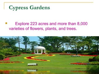 Cypress Gardens

       Explore 223 acres and more than 8,000
    varieties of flowers, plants, and trees.
 