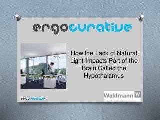 How the Lack of Natural
Light Impacts Part of the
Brain Called the
Hypothalamus
 