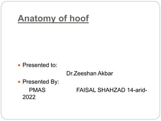 Anatomy of hoof
 Presented to:
Dr.Zeeshan Akbar
 Presented By:
PMAS FAISAL SHAHZAD 14-arid-
2022
 