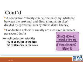 Comprehensive Guide to Nerve Conduction Studies and Electromyography ...