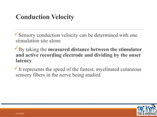 Comprehensive Guide to Nerve Conduction Studies and Electromyography ...