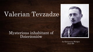 Valerian Tevzadze
Mysterious inhabitant of
Dzierżoniów
by Katarzyna Wielgos
class 6D
 