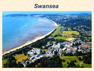 Swansea

 