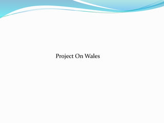 Project On Wales
 