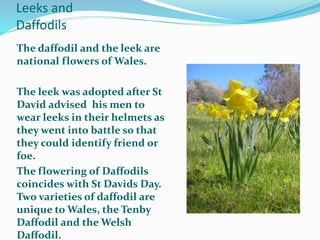 Leeks and
Daffodils
The daffodil and the leek are
national flowers of Wales.
The leek was adopted after St
David advised his men to
wear leeks in their helmets as
they went into battle so that
they could identify friend or
foe.
The flowering of Daffodils
coincides with St Davids Day.
Two varieties of daffodil are
unique to Wales, the Tenby
Daffodil and the Welsh
Daffodil.
 
