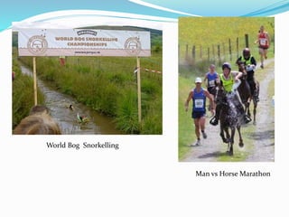 World Bog Snorkelling
Man vs Horse Marathon
 