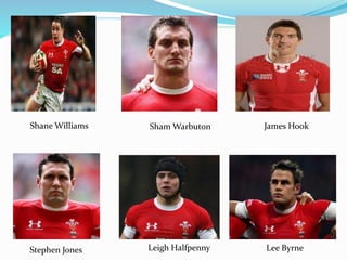 Shane Williams Sham Warbuton James Hook
Stephen Jones Leigh Halfpenny Lee Byrne
 