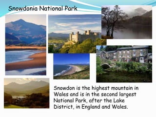 Snowdonia National Park
Snowdon is the highest mountain in
Wales and is in the second largest
National Park, after the Lake
District, in England and Wales.
 