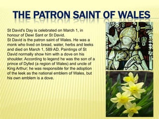 THE PATRON SAINT OF WALES
St David's Day is celebrated on March 1, in
honour of Dewi Sant or St David.
St David is the patron saint of Wales. He was a
monk who lived on bread, water, herbs and leeks
and died on March 1, 589 AD. Paintings of St
David normally show him with a dove on his
shoulder. According to legend he was the son of a
prince of Dyfed (a region of Wales) and uncle of
King Arthur; he was responsible for the adoption
of the leek as the national emblem of Wales, but
his own emblem is a dove.
 