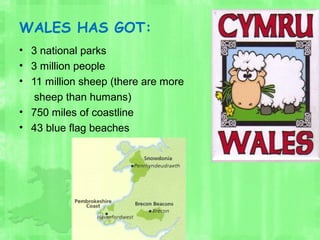 WALES HAS GOT:
• 3 national parks
• 3 million people
• 11 million sheep (there are more
sheep than humans)
• 750 miles of coastline
• 43 blue flag beaches
 