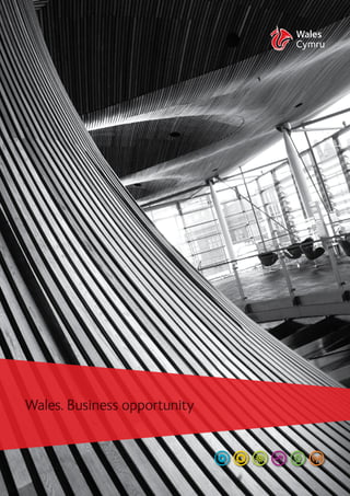Wales. Business opportunity
 
