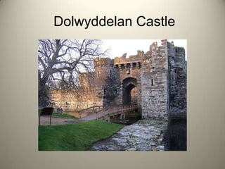  Dolwyddelan Castle