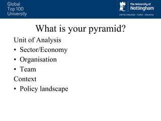 What is your pyramid? Unit of Analysis Sector/Economy Organisation Team Context Policy landscape 