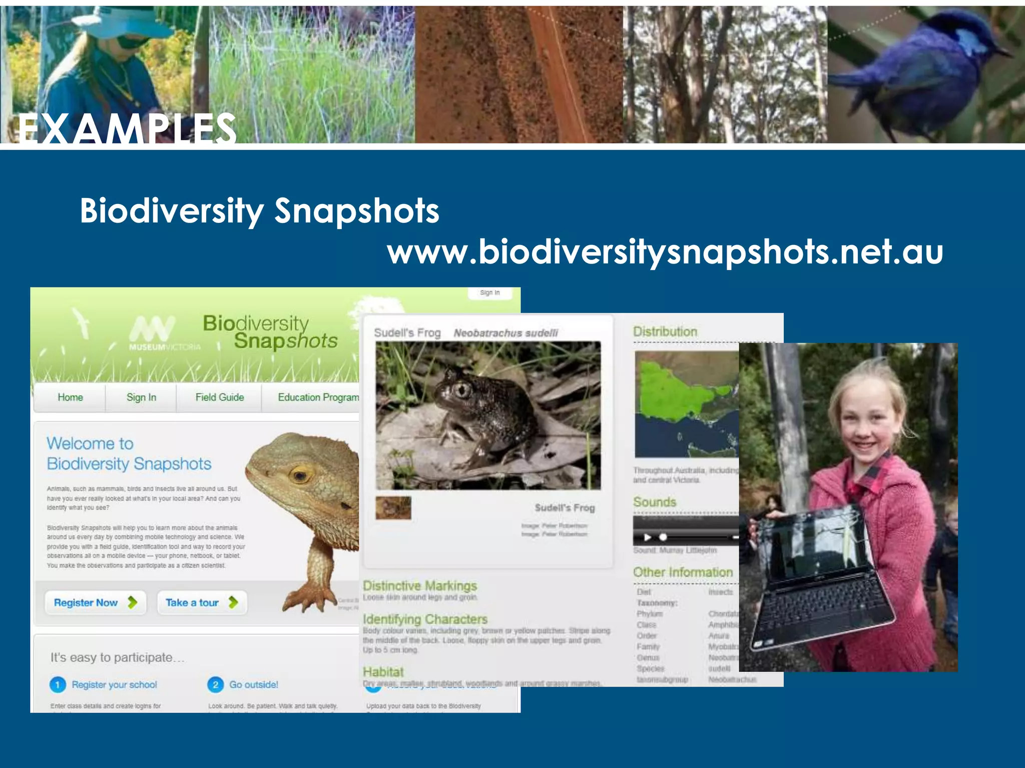 CITIZEN SCIENCE & THE ENVIRONMENTWhat is Citizen Science?PeopleConnectProblemSolution!