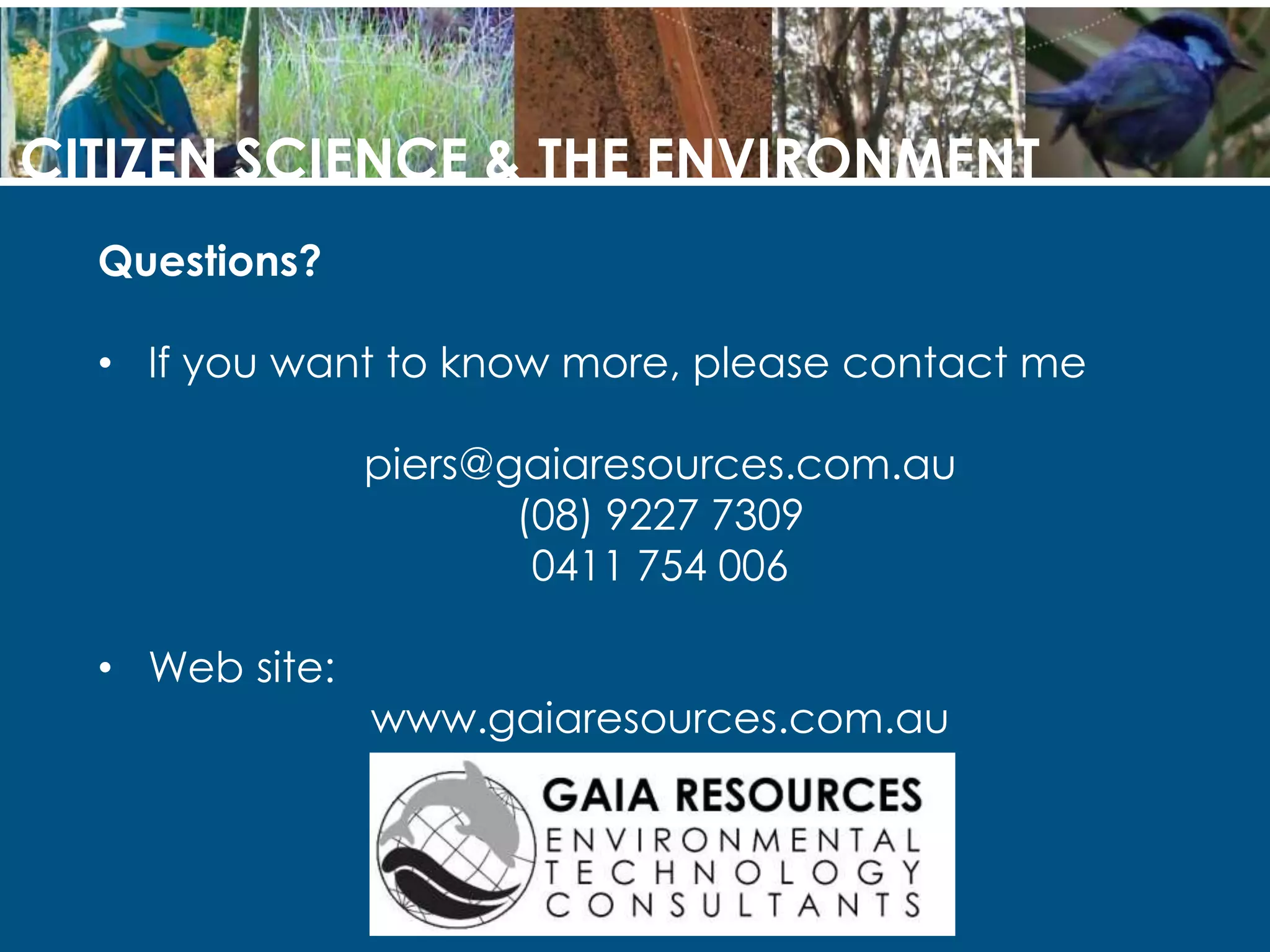 Windows of enhanced attention