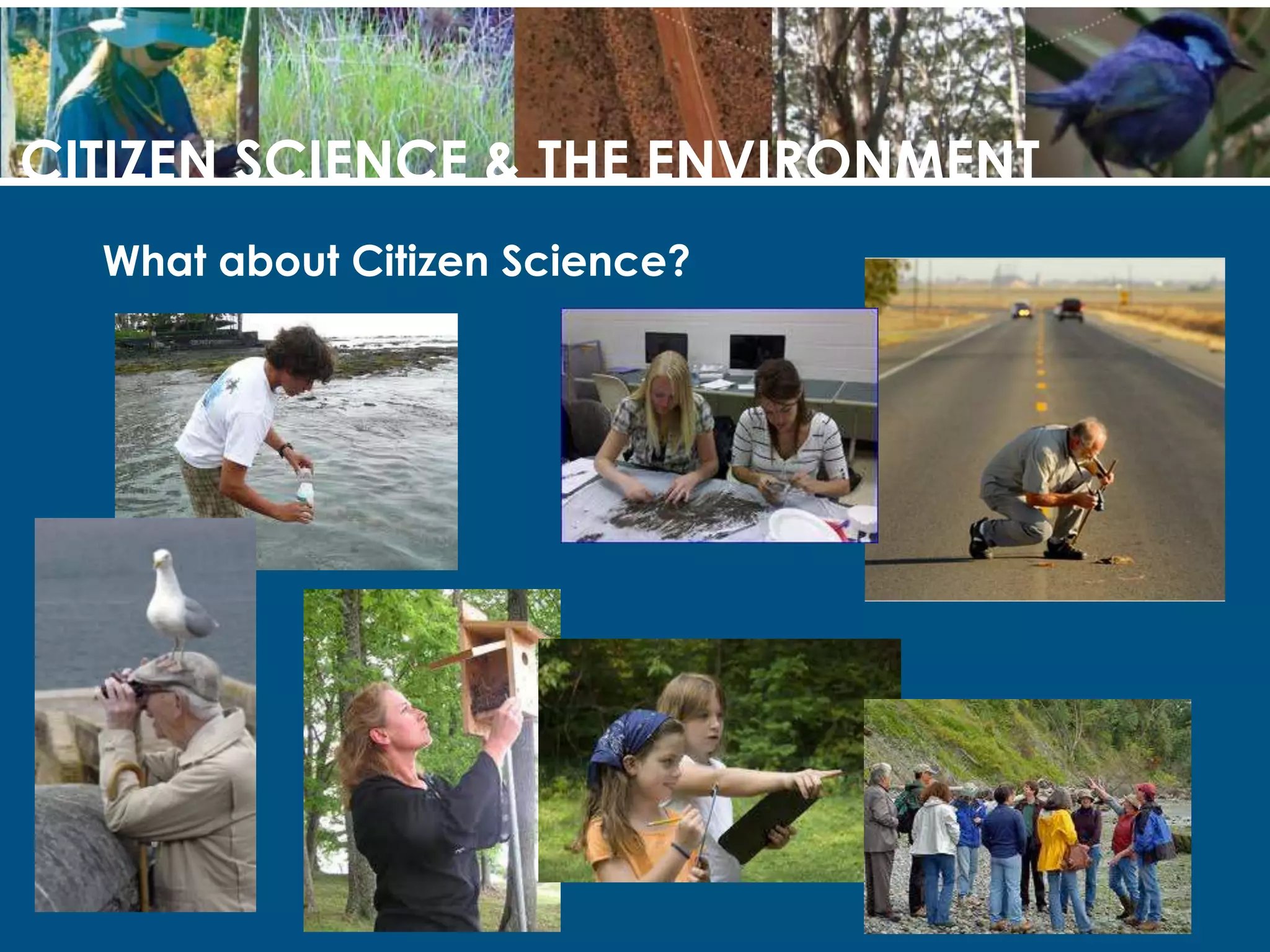 QuestionsCITIZEN SCIENCE & THE ENVIRONMENTWhy bother?