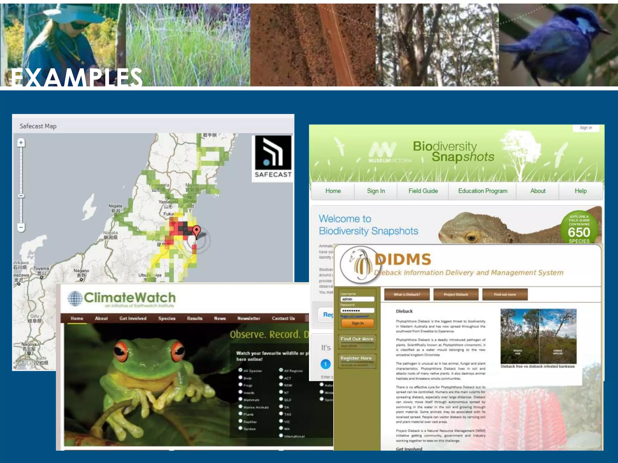 Over half said they thought the natural environment was decliningSource: ABS 2007-08 Environmental Views and Behaviour Survey http://tinyurl.com/3bqeydp