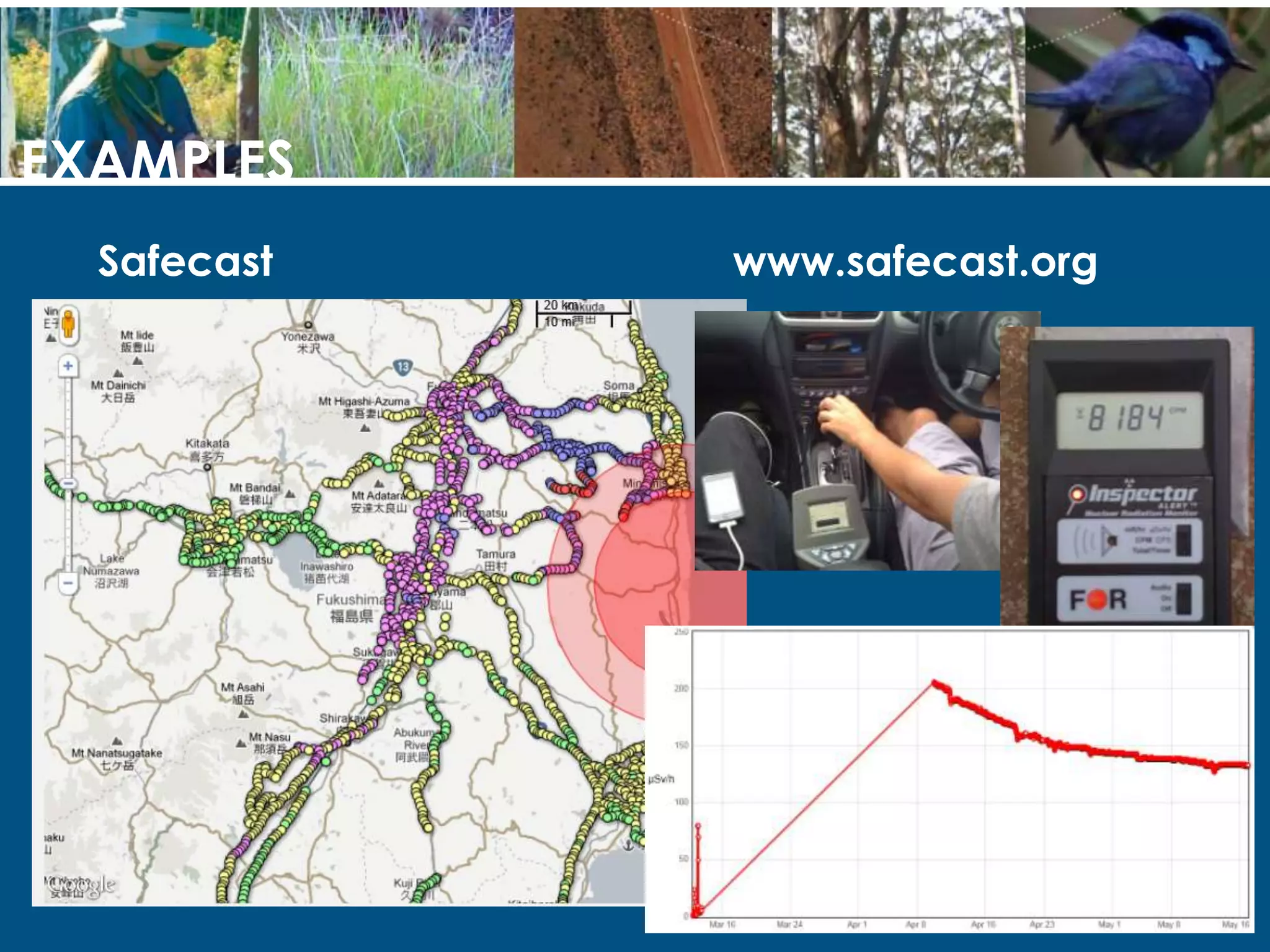 CITIZEN SCIENCE & THE ENVIRONMENTWhat can you do?