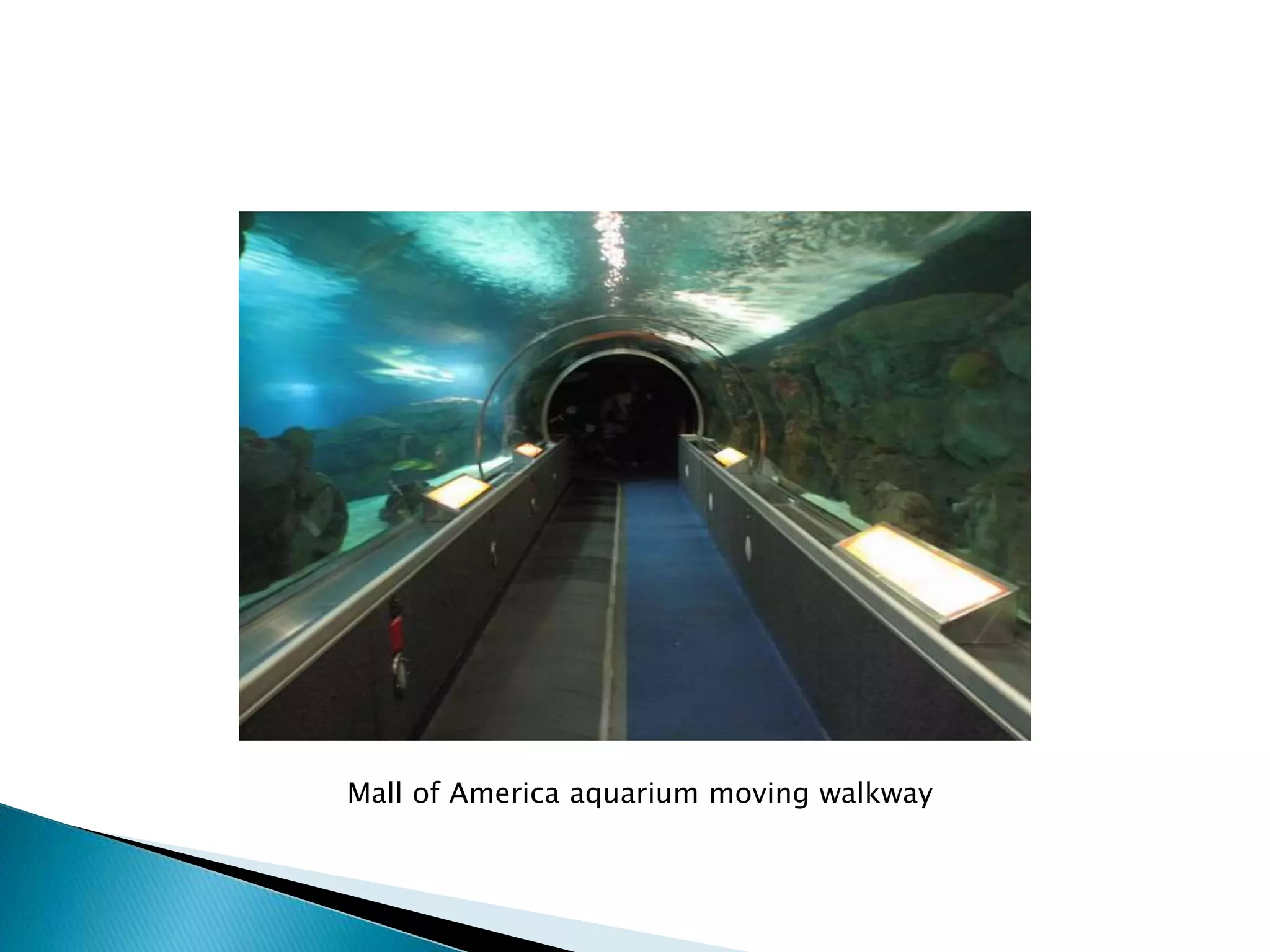 Mall of America aquarium moving walkway
 